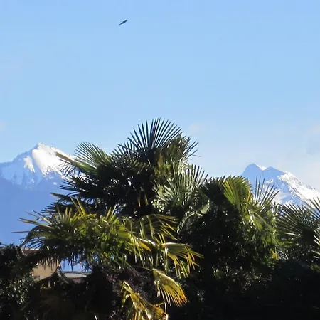 Muralto-locarno: Miramonti Apt. 8