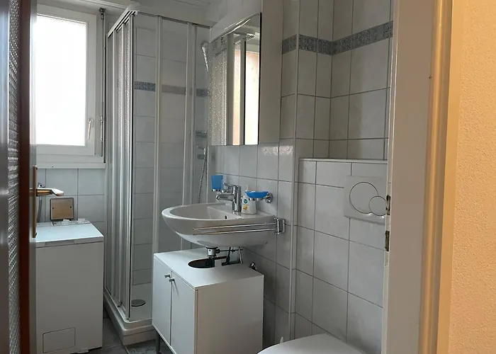 Muralto-locarno: Miramonti Apt. 8 *